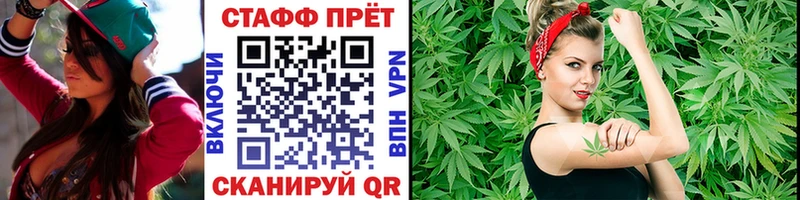 Как найти закладки Заозёрск Амфетамин Меф мяу мяу Псилоцибиновые грибы МЕТАДОН КОКАИН ГАШ Каннабис
