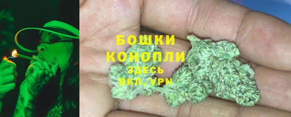 дурь Рославль